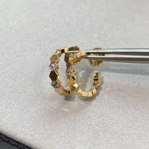 Earrings- CM1