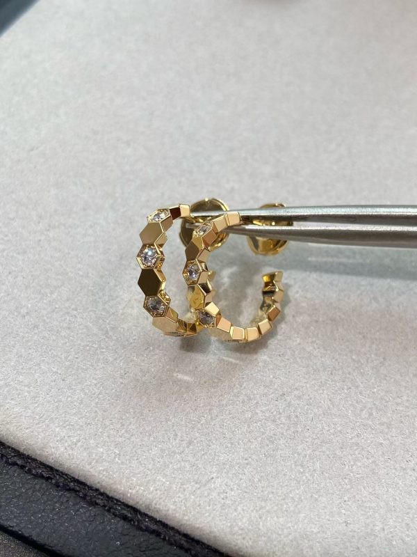 Earrings- CM1