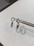 Earrings- CM1
