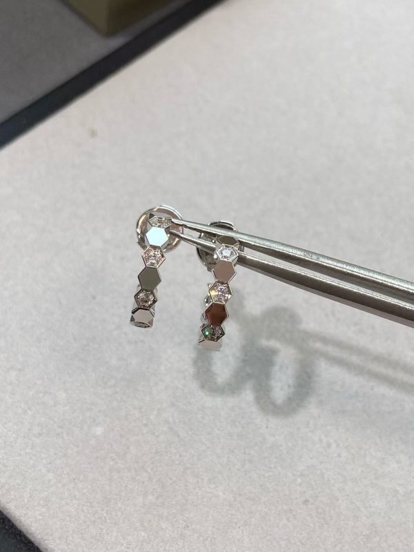Earrings- CM1