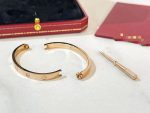 Caselinn bangle cassic 4 stone ( thick version)