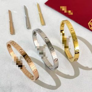 Caselinn bangle cassic no stone ( thick version)